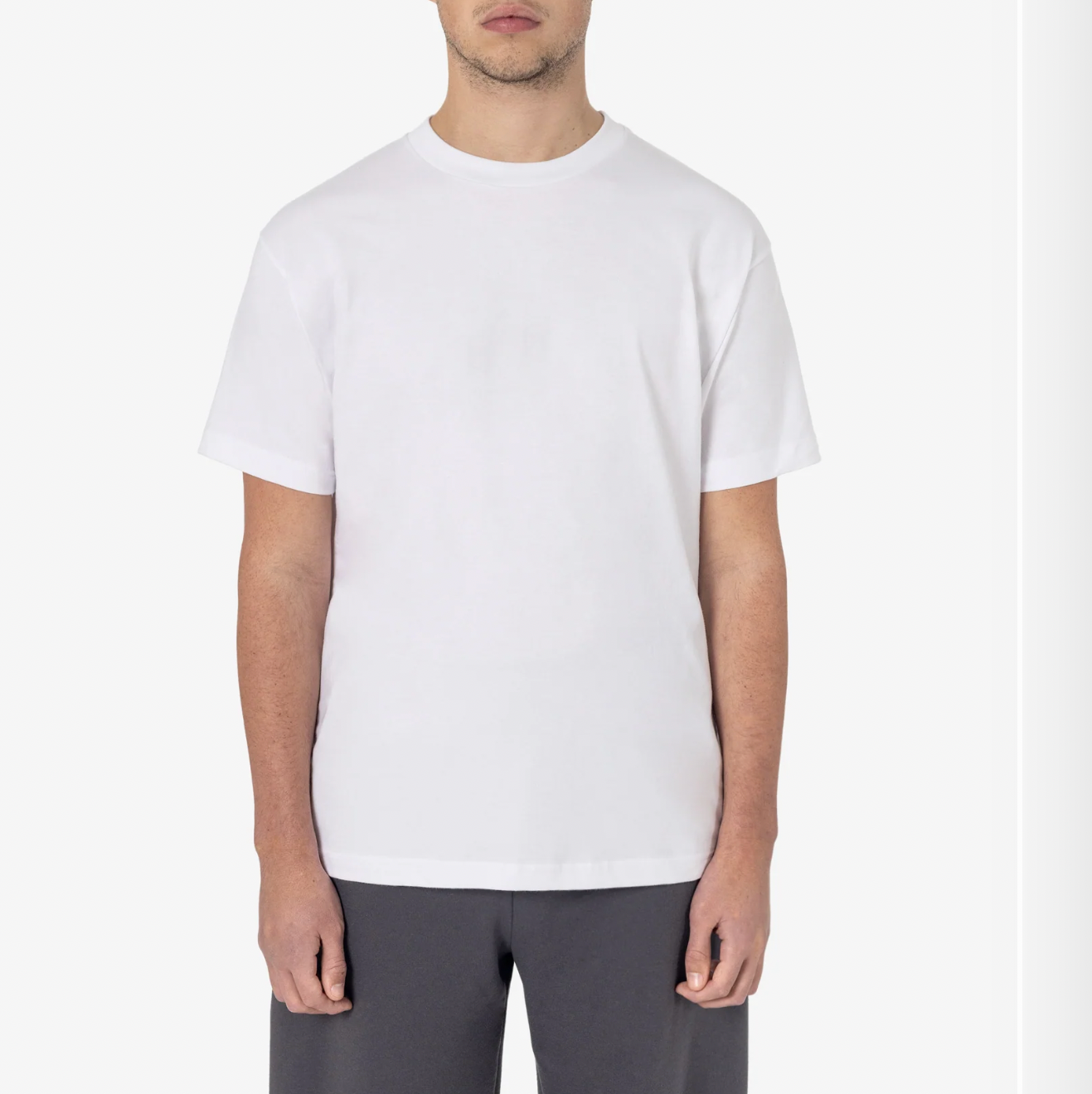custom tee - premium fit (LA apparel)
